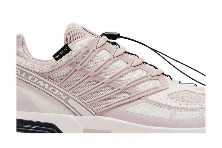 Кроссовки Salomon ACS Pro GORE-TEX 'Cloud Grey Lilac Ash'