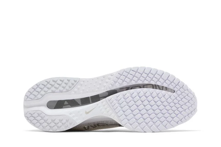 Кроссовки Nike Wmns Pegasus Premium 'White Metallic Silver'