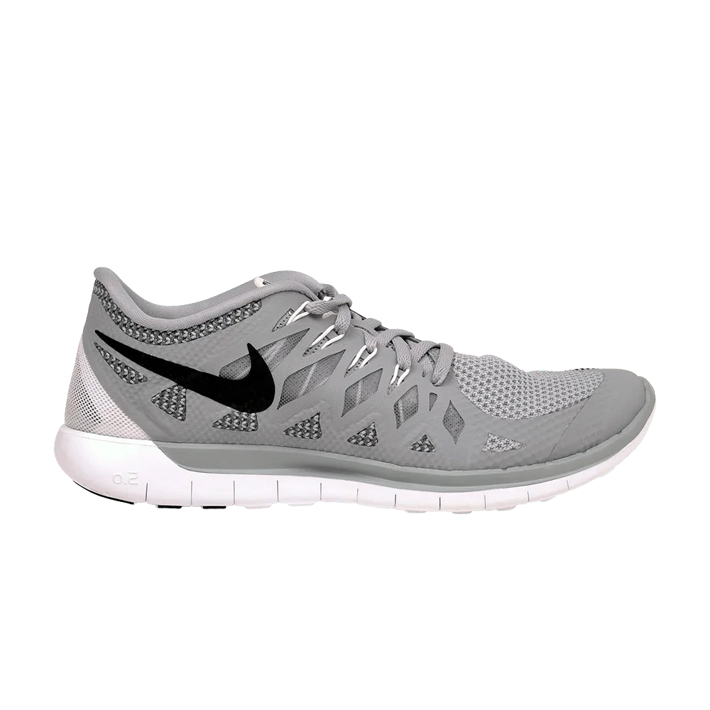 Krossovki-Nike-Free-5.0-2014