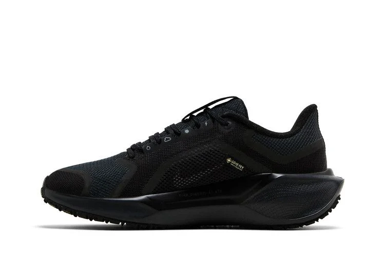 Krossovki-Nike-Wmns-Air-Zoom-Pegasus-41-GORE-TEX-Black-Anthracite-2