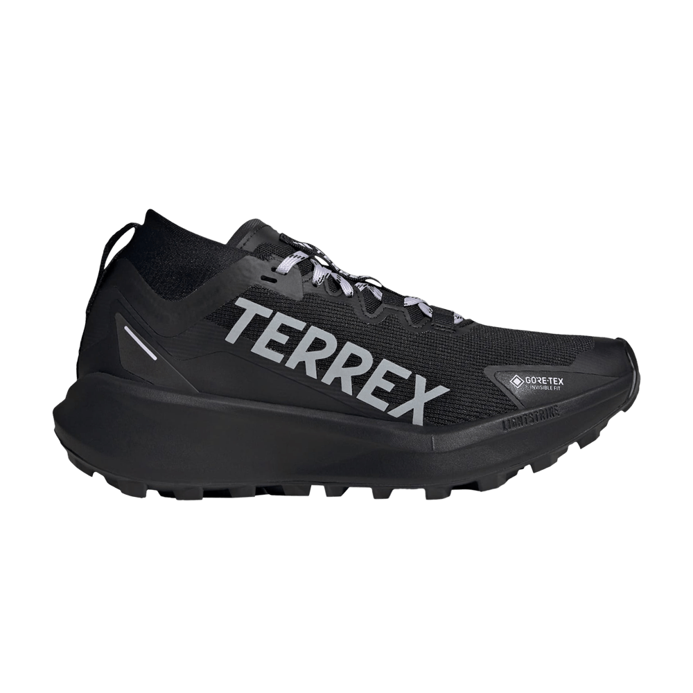 wmns-terrex-agravic-mid-gore-tex-black-silver-dawn-ih5358