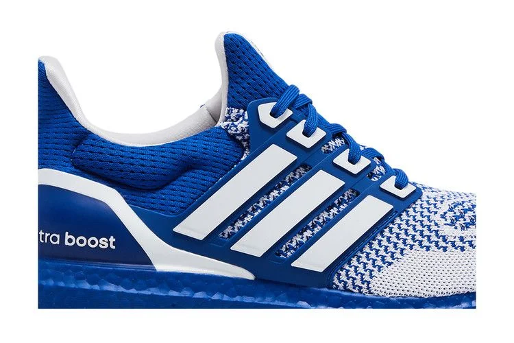 Кроссовки adidas UltraBoost 1.0 'Royal Blue'