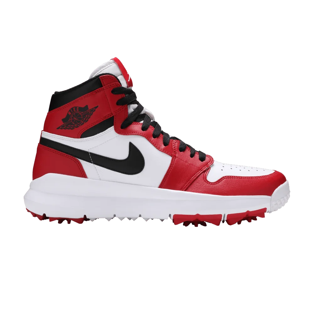 Krossovki-Air-Jordan-1-Golf-Chicago-Sample