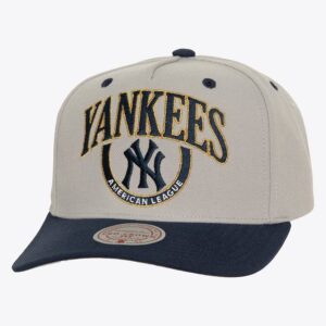 Mitchell-Ness-Gray-New-York-Yankees-Cooperstown-Collection-Crown-Jewels-Pro-Snapback-Hat-300x300