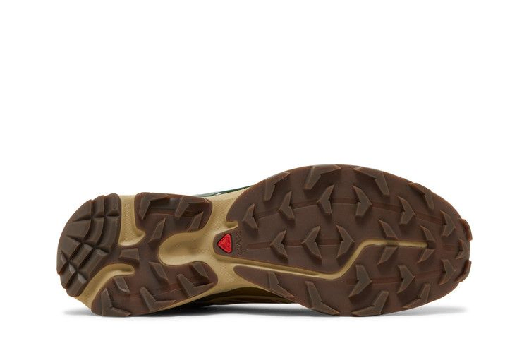 Кроссовки Salomon XT-6 'Rubber Lizard'