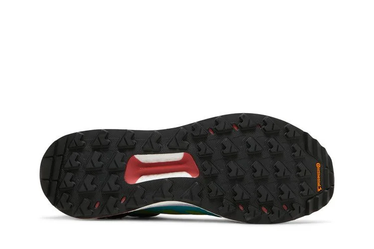 Кроссовки Adidas Terrex Free Hiker GTX 'Nothing Left Behind'