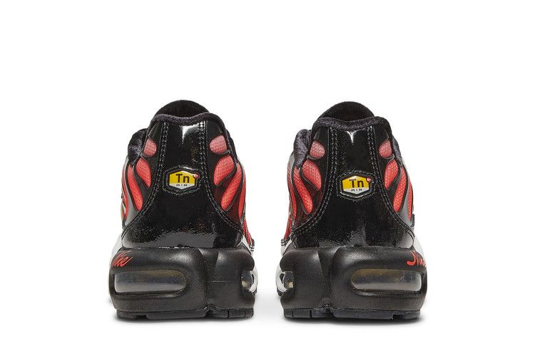 Кроссовки Nike Wmns Air Max Plus 'Sisterhood'