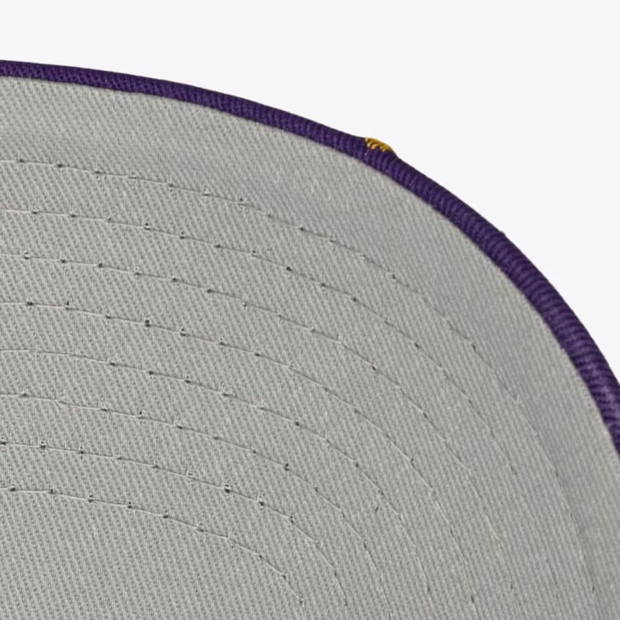 Бейсболка Mitchell & Ness Purple Los Angeles Lakers Polka Polka Pro Adjustable Hat