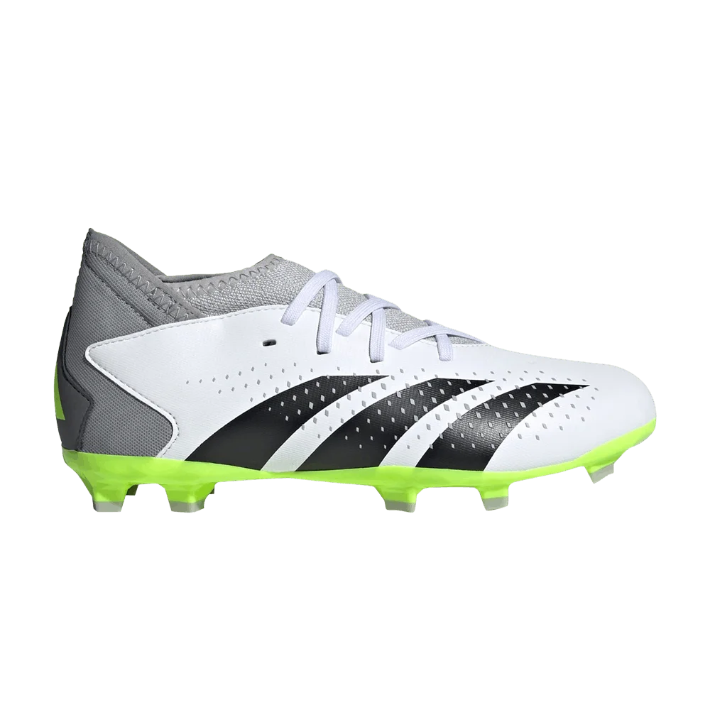 Krossovki-Adidas-Predator-Accuracy.3-FG-J-Crazyrush-Pack