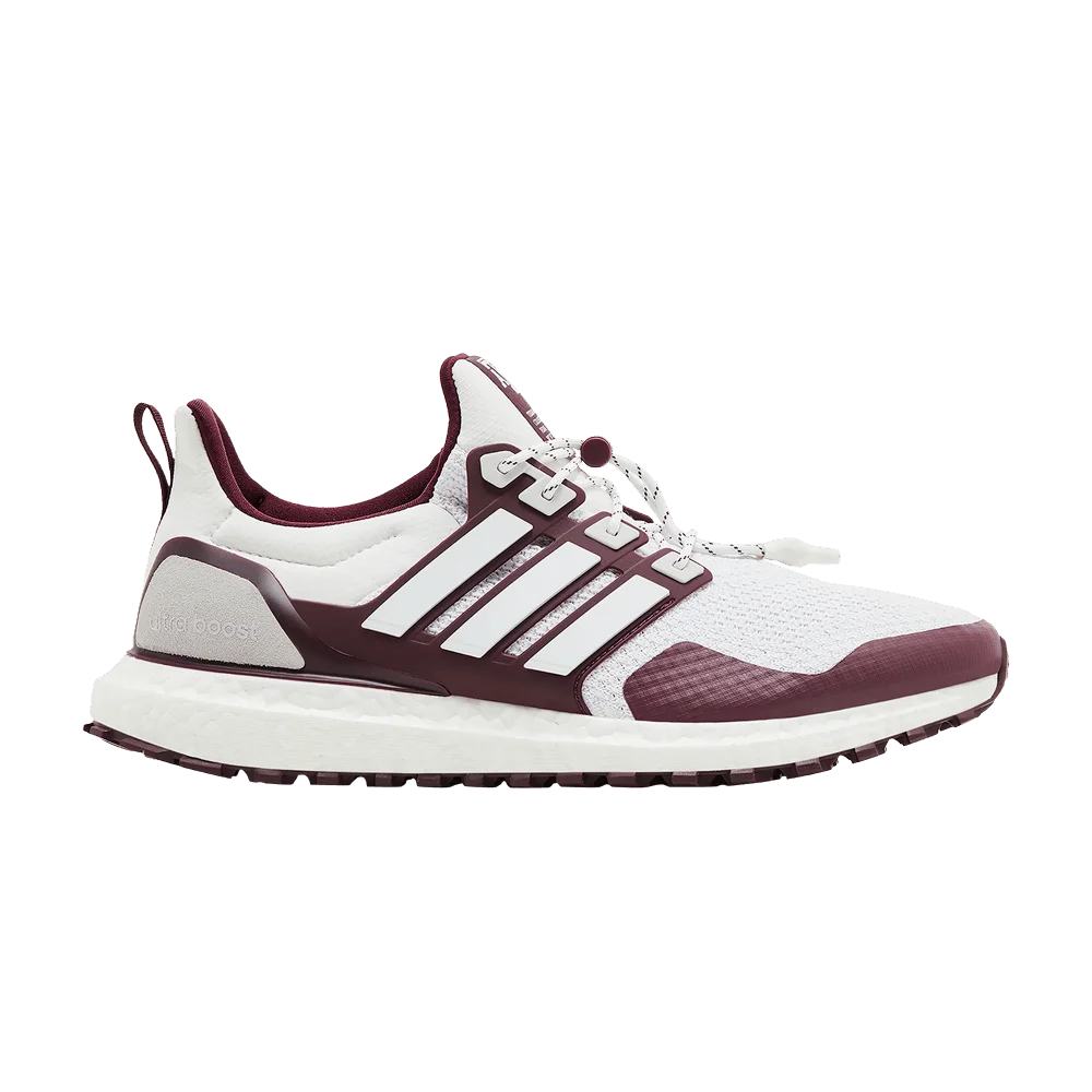 Krossovki-adidas-UltraBoost-1.0-NCAA-Pack-Texas-AM