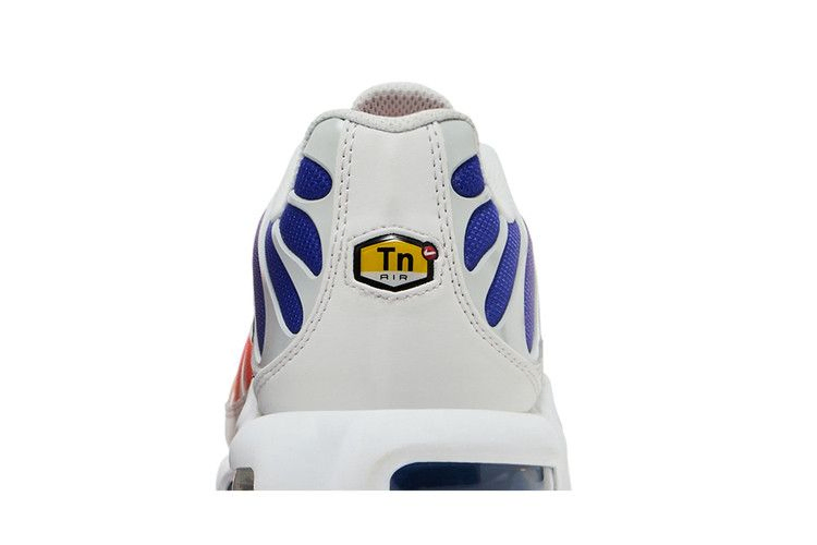 Кроссовки Nike Wmns Air Max Plus 'Persian Violet Wild Mango'