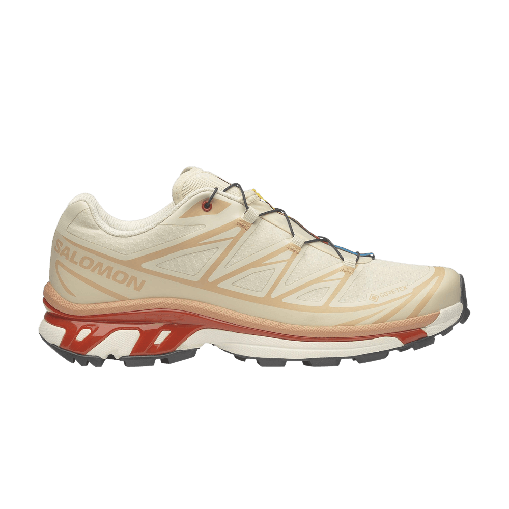 Кроссовки Salomon XT-6 GORE-TEX 'Almond Milk Burnt Ochre'