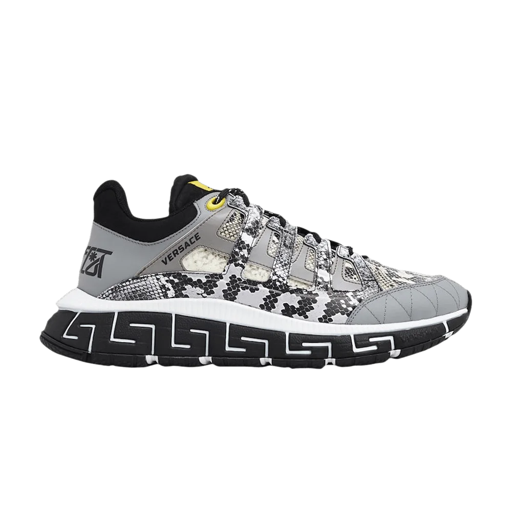 Krossovki-Versace-Trigreca-Grey-Snakeskin