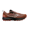 wmns-peregrine-14-gore-tex-clove-black-s10918-120-100x100