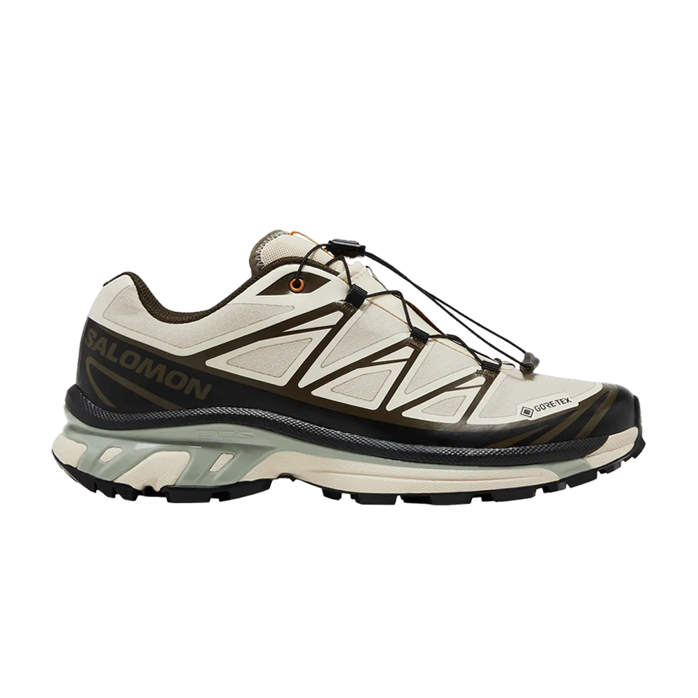 Krossovki-Sneakersnstuff-x-Salomon-XT-6-GORE-TEX-Almond-Milk-Seagrass