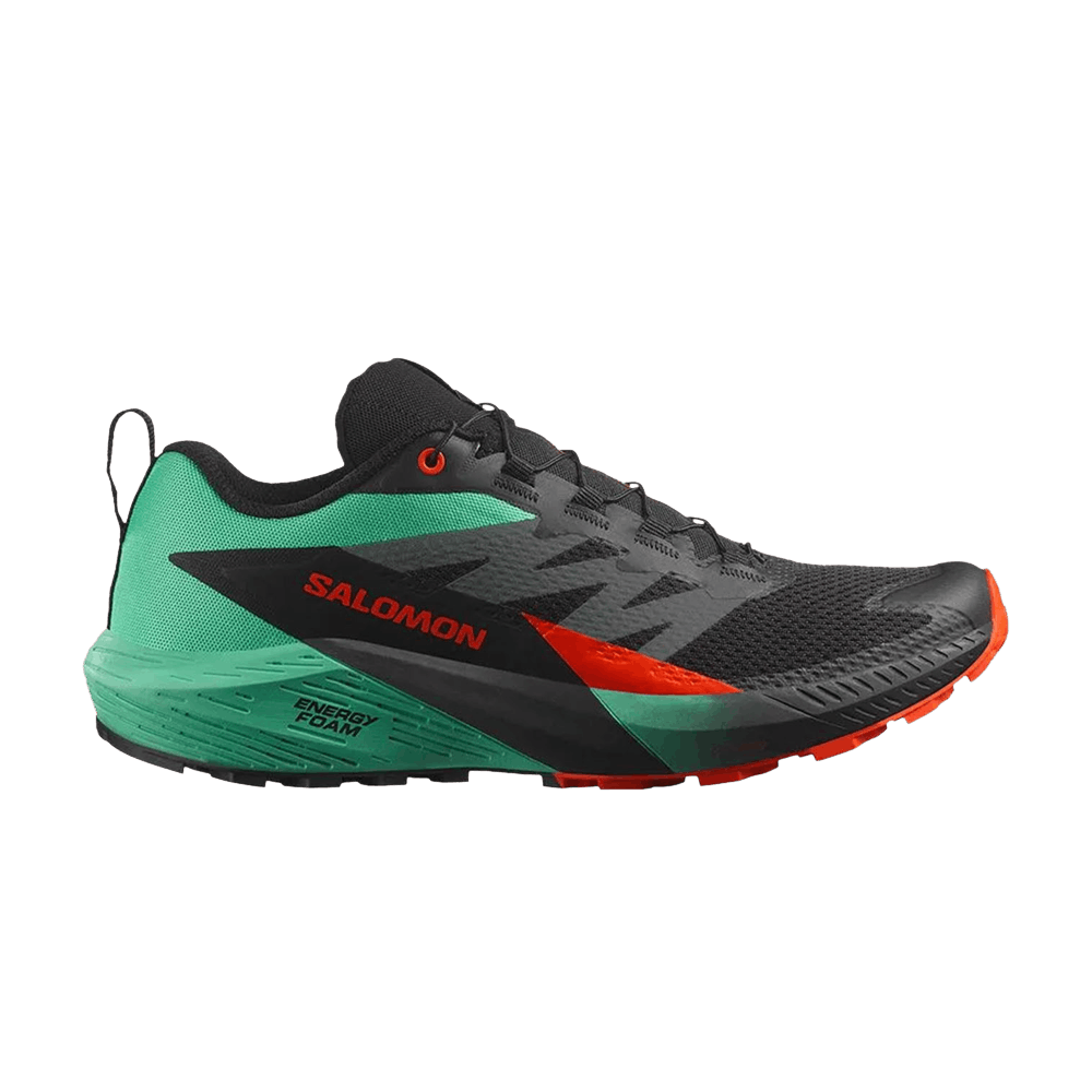 Кроссовки Salomon Sense Ride 5 'Black Bay Cherry Tomato'