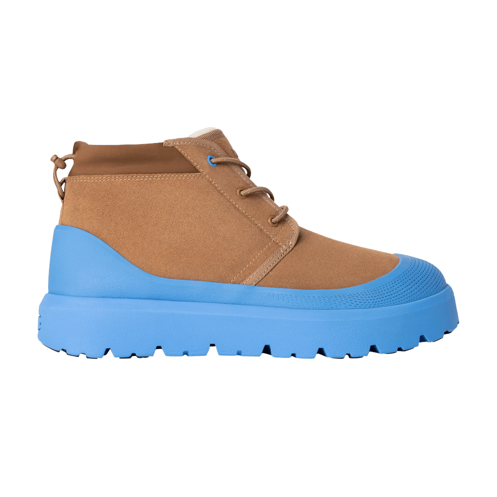 neumel-weather-hybrid-chestnut-big-sky-1143991-cbg