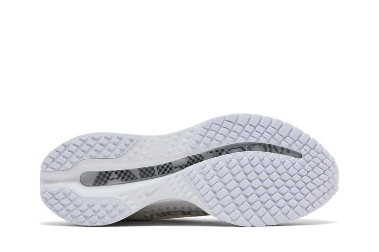 Кроссовки Nike Pegasus Premium 'White Metallic Silver'