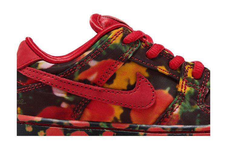 Кроссовки The Wizard of Oz x Nike Dunk Low SB TD 'Poppy Field'