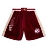 Mitchell-Ness-My-Towns-Wish-Atlanta-Hawks-Shorts-100x100