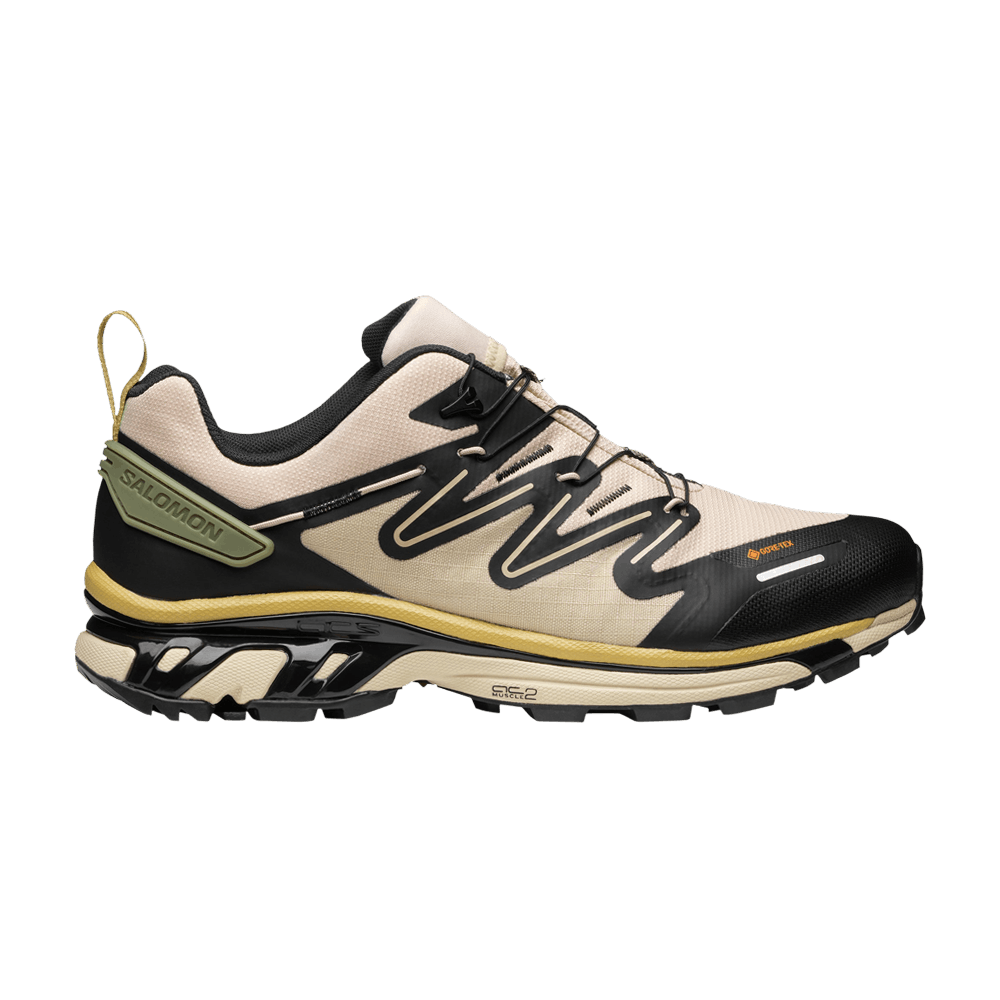 Кроссовки Salomon XT-Rush 2 GORE-TEX 'Cement Deep Lichen Green'