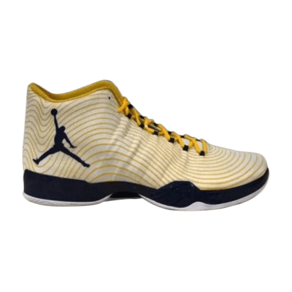 Krossovki-Air-Jordan-29-Michigan-Wolverines-PE