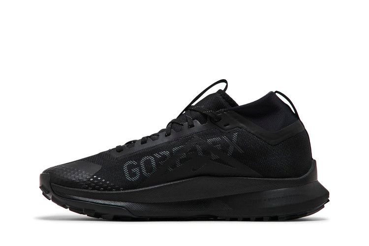 Кроссовки Nike React Pegasus Trail 4 GORE-TEX 'Black Anthracite'