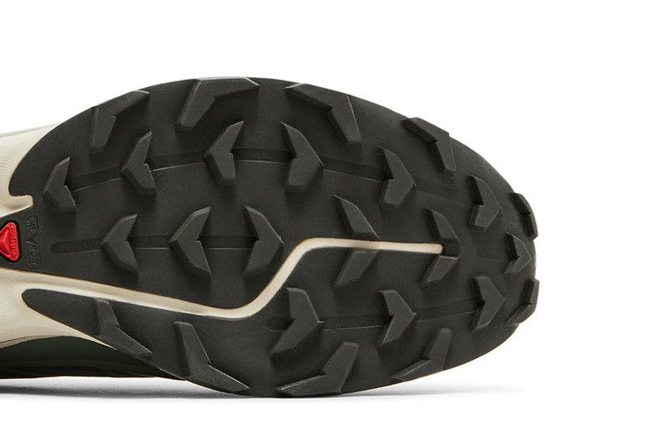 Кроссовки Salomon XT-6 'Laurel Wreath'