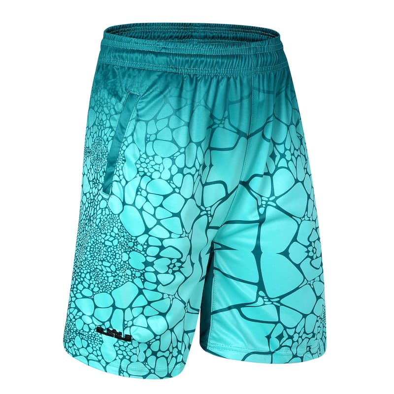 Баскетбольные шорты Daiong James Blue Smashed Shorts