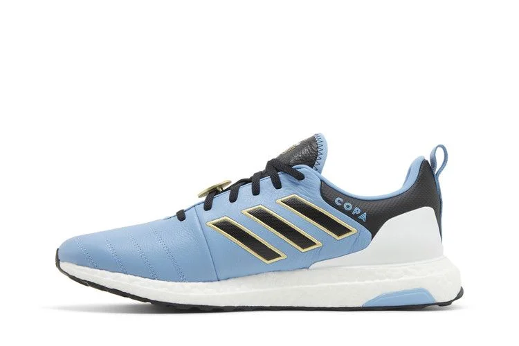 Кроссовки Adidas Copa UltraBoost DNA 'World Cup - Argentina'
