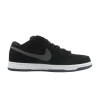 dunk-low-pro-sb-304292-025-100x100