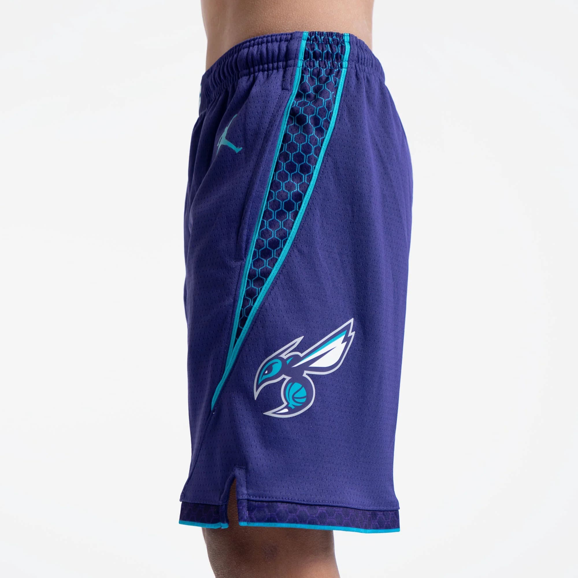 Спортивные шорты Nike Charlotte Hornets 2024 Statement Edition Swingman Youth NBA Shorts