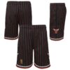 Chicago-Bulls-1996-97-Pinstripe-Throwback-Swingman-Youth-NBA-Shorts-1-100x100