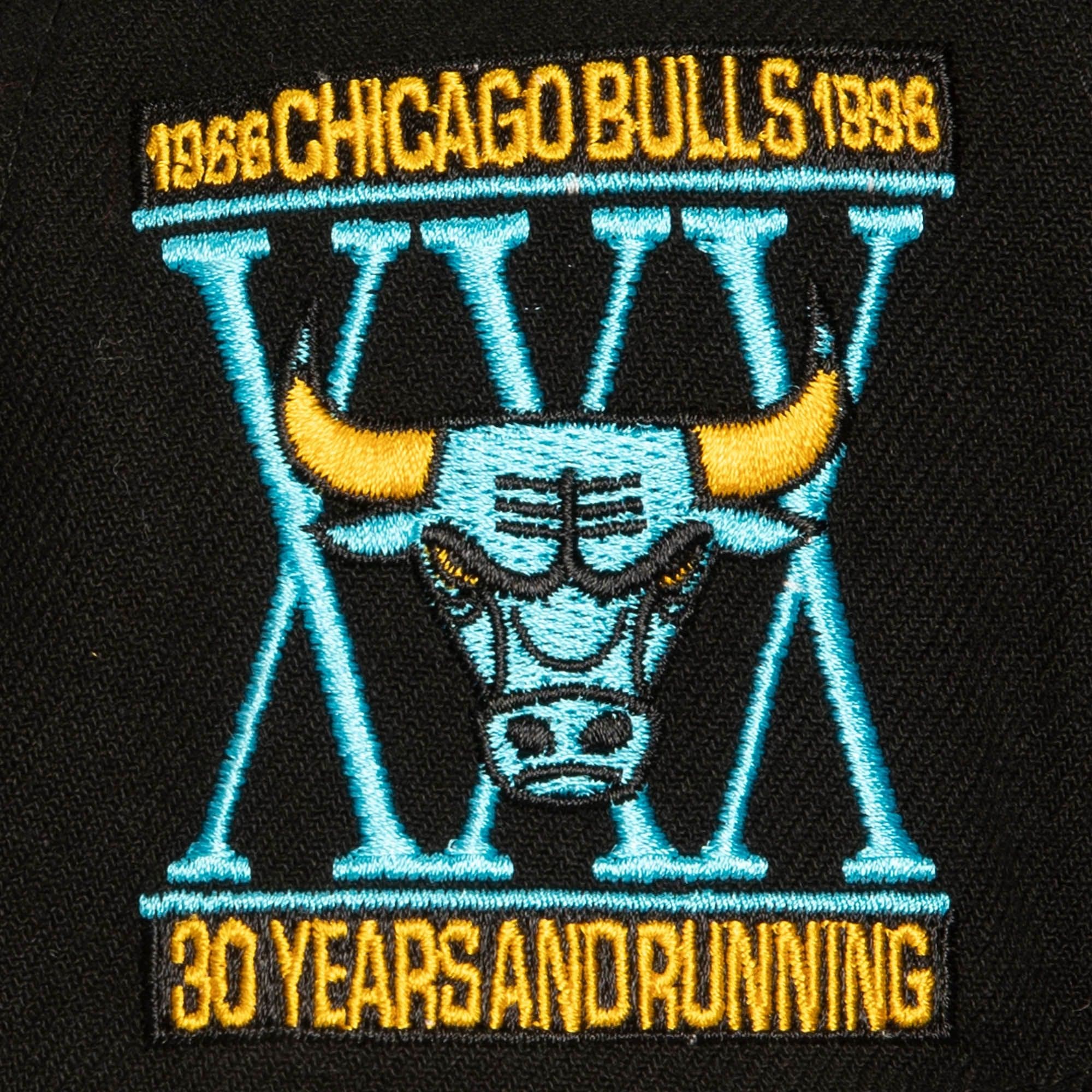 Mitchell-Ness-Core-XI-Snapback-Chicago-Bulls-Hat-2