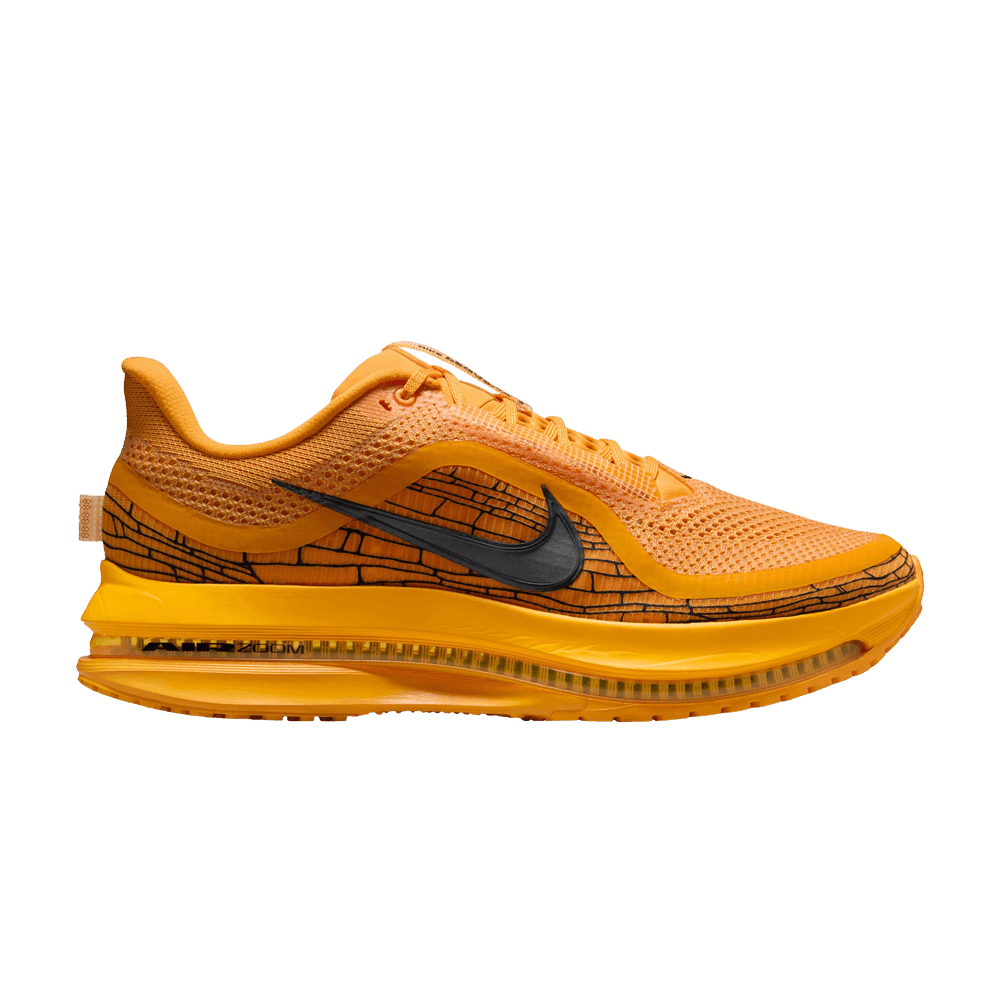 Кроссовки Nike Pegasus Premium LV8 'Modern Mayfly Pack'