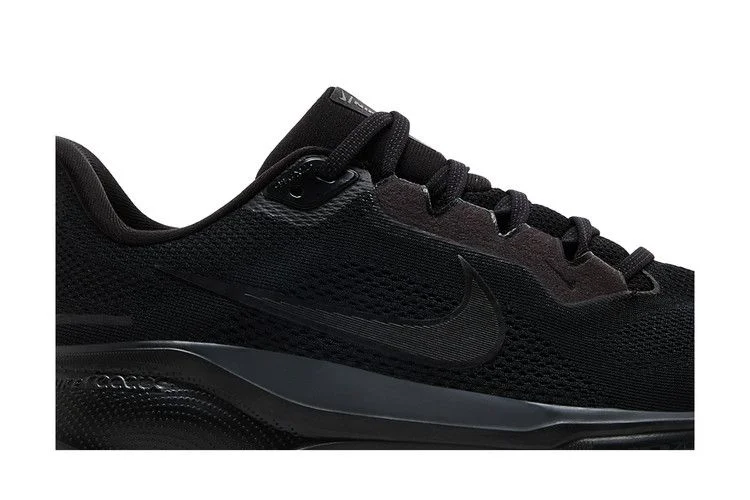 Кроссовки Nike Air Zoom Pegasus 41 'Black Anthracite'