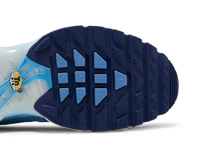 Кроссовки Nike Air Max Plus SE 'First Use - University Blue'