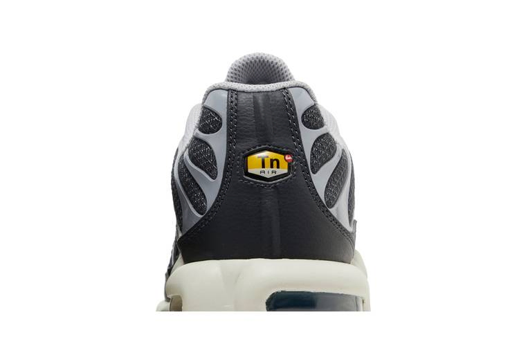 Кроссовки Nike Air Max Plus SE 'Iron Grey'