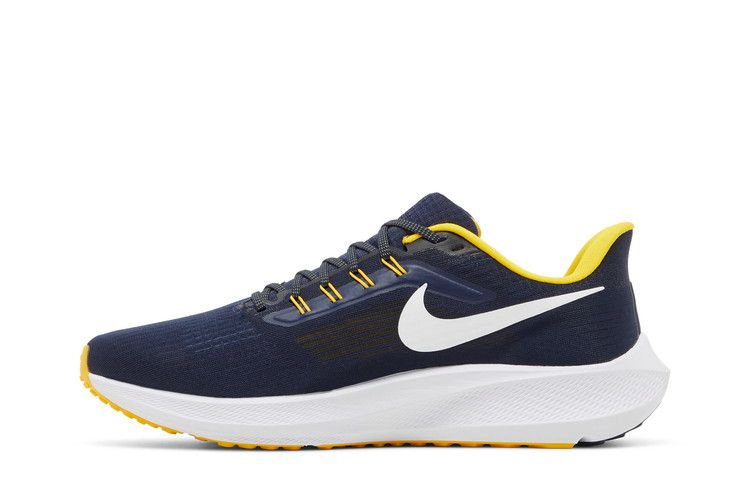 Кроссовки Nike Air Zoom Pegasus 39 'Michigan'