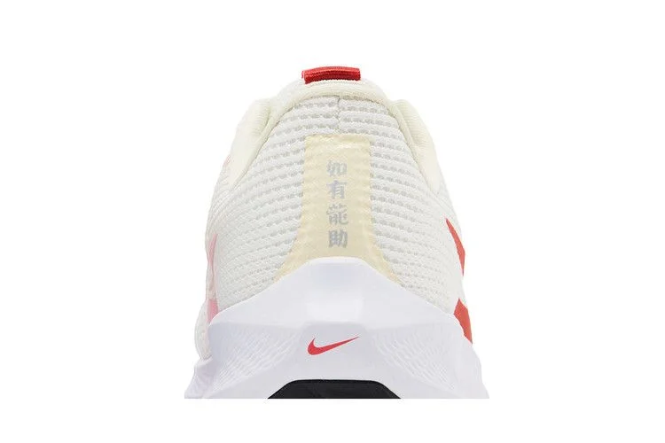 Krossovki-Nike-Wmns-Air-Zoom-Pegasus-40-Year-of-the-Dragon-6