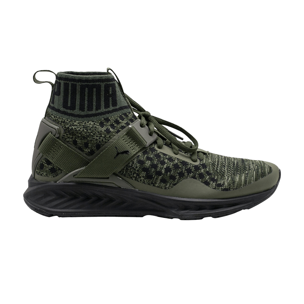 Кроссовки Puma Ignite 3 evoKnit