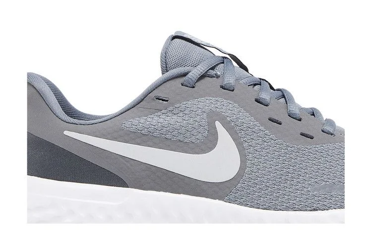 Krossovki-Nike-Revolution-5-GS-Cool-Grey-1