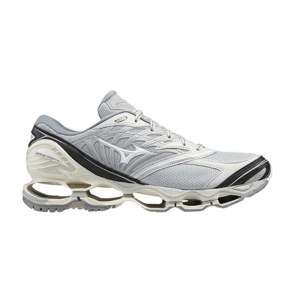 Кроссовки Mizuno Wave Prophecy LS 'Grey'