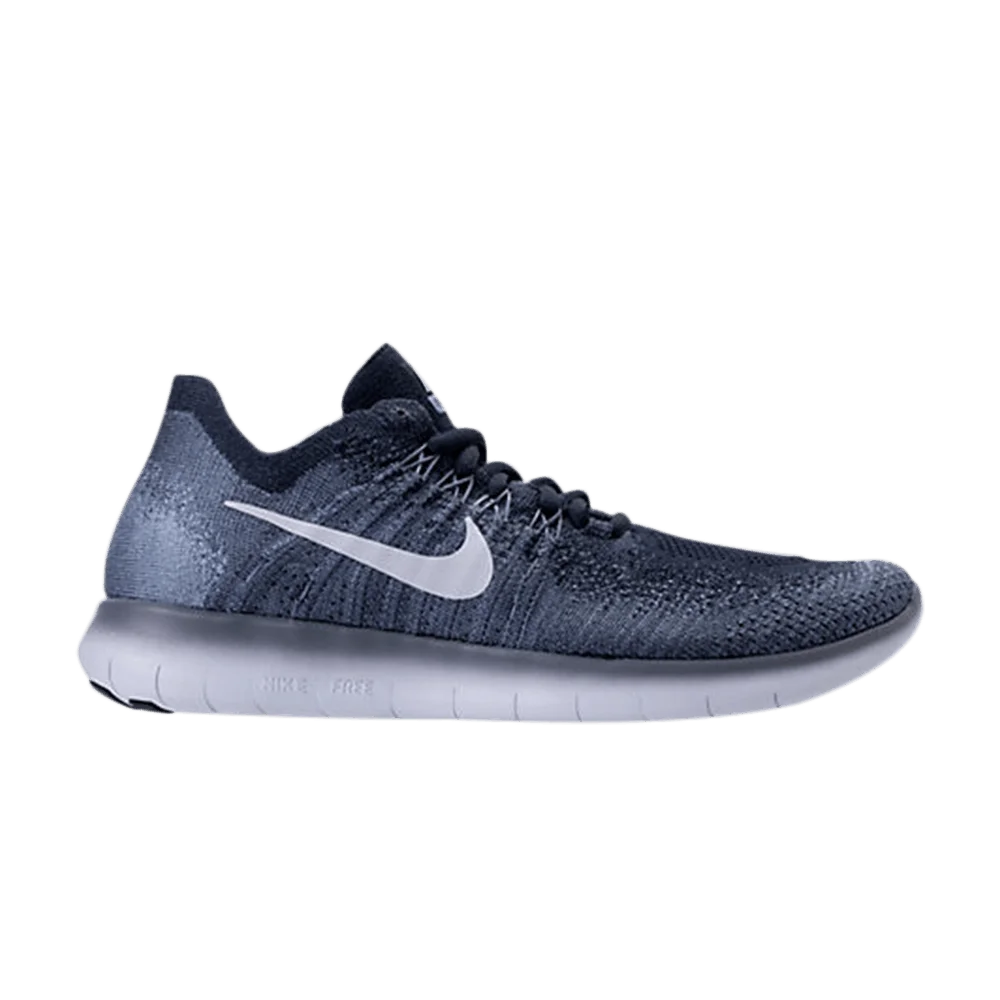 Krossovki-Nike-Free-RN-Flyknit-2017-Ocean-Fog