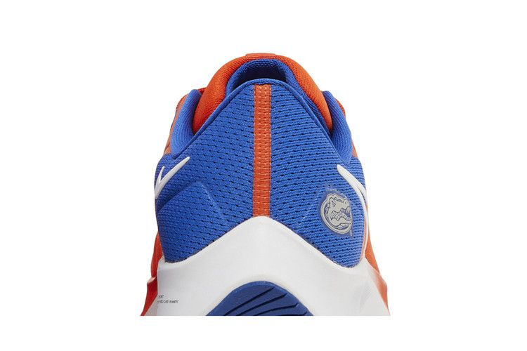 Кроссовки Nike Air Zoom Pegasus 38 'Florida'