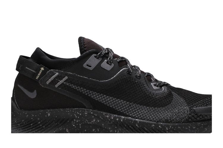 Кроссовки Nike Wmns Pegasus Trail 2 Gore-Tex 'Black Metallic Dark Grey'