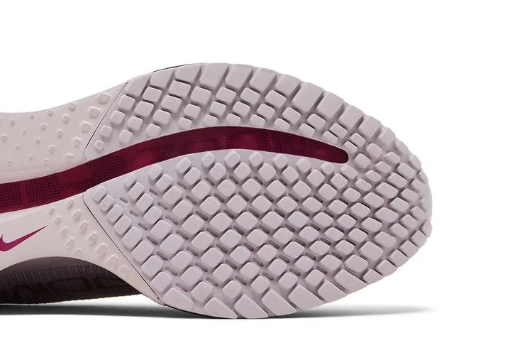 Кроссовки Nike Wmns Pegasus Premium 'Silt Red Particle Rose'