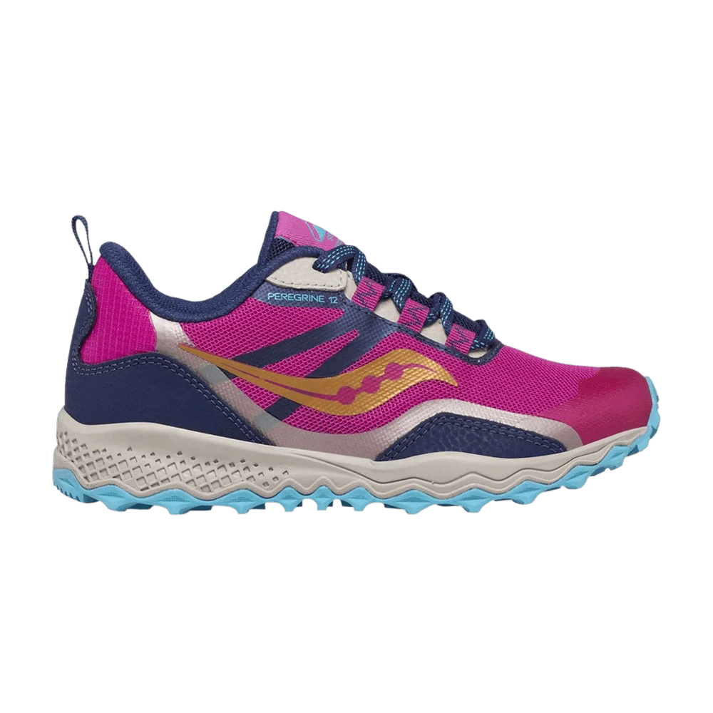 Кроссовки Saucony Peregrine 12 Shield Big Kid 'Navy Turquoise Pink'