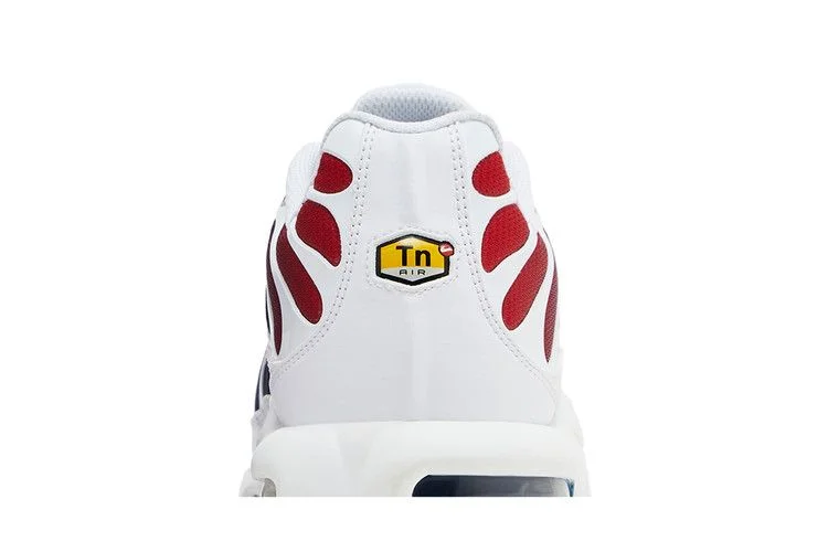 Кроссовки Paris Saint-Germain x Nike Air Max Plus 'Home Kit'
