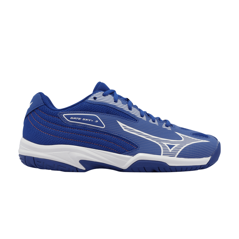 Кроссовки Mizuno Gate Sky Plus 3 Wide 'Surf the Web'